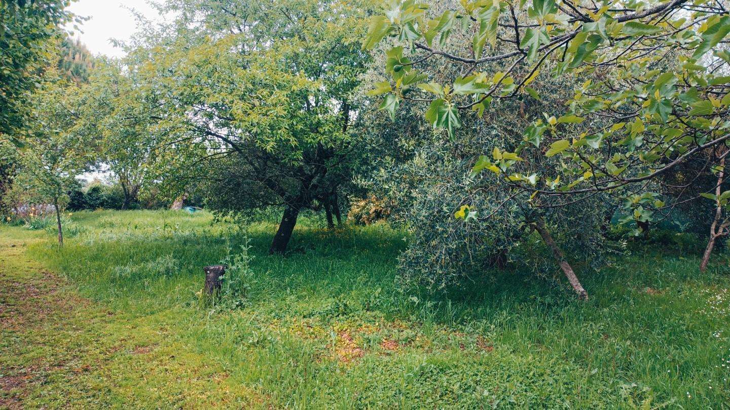 immagine annuncio 3 di 9