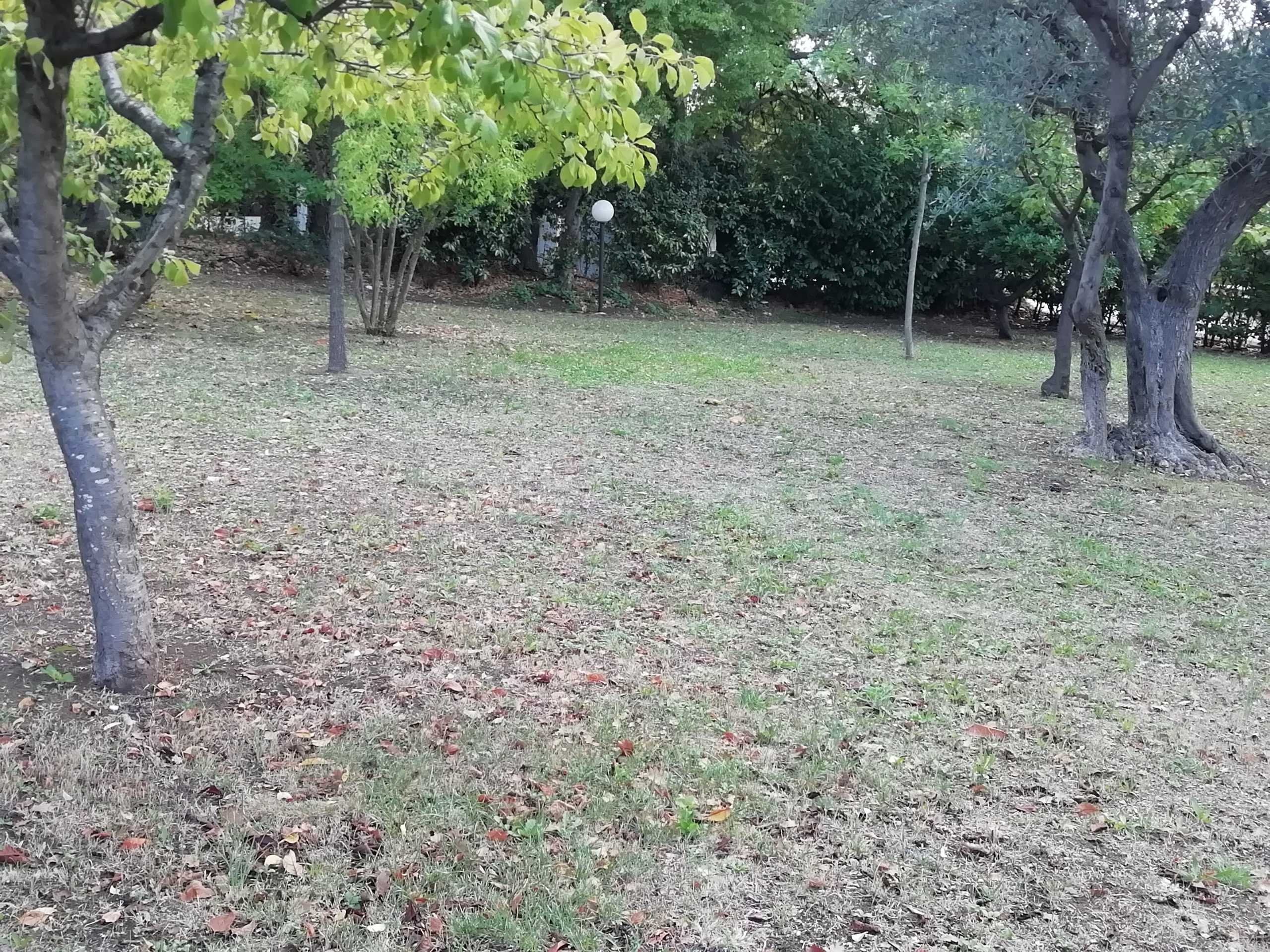  - foto 24