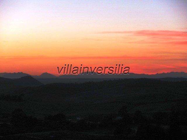 - foto 28