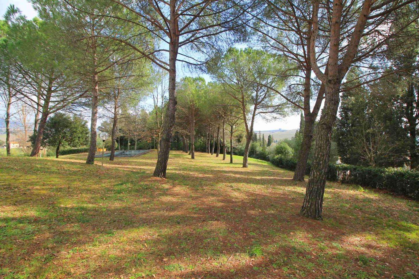 - foto 11