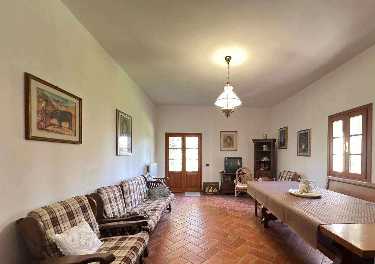  - foto 17