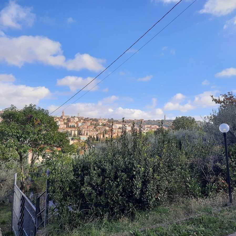  - foto 16