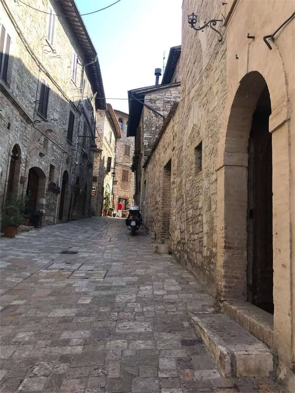 Capannone in Affitto a Assisi