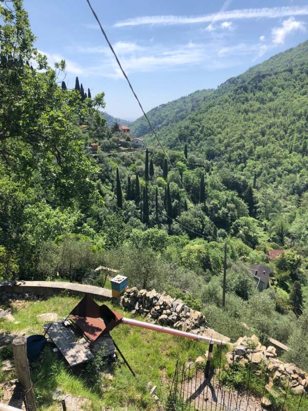 immagine annuncio 1 di 7