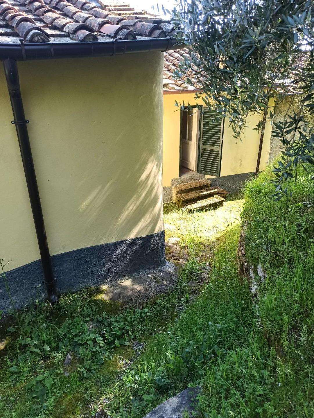  - foto 31