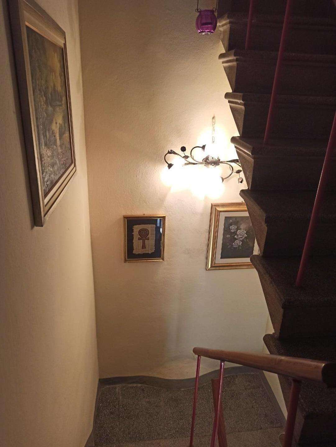 - foto 6