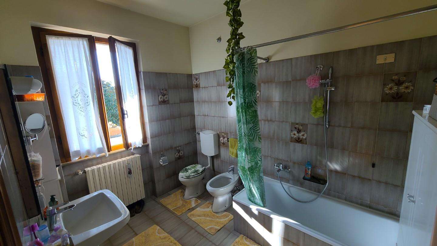  - foto 28