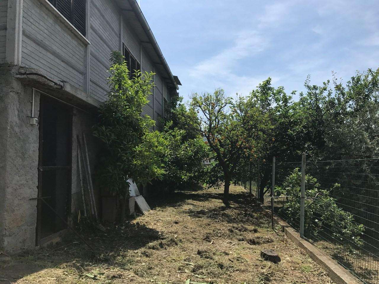  - foto 10