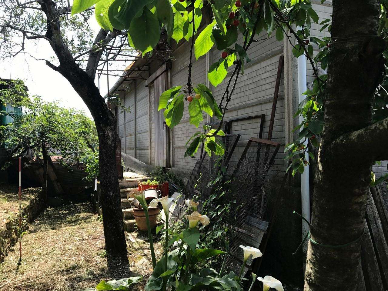  - foto 12