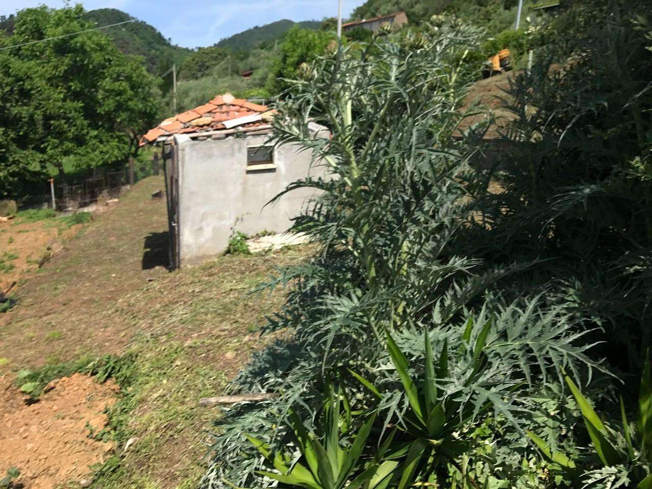  - foto 8
