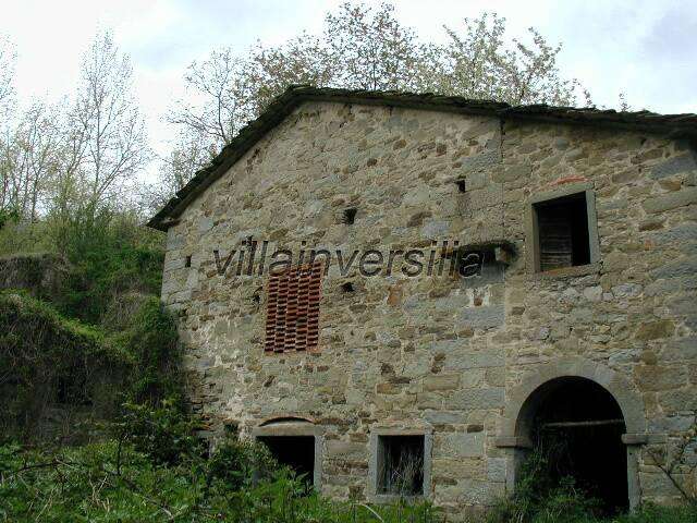immagine annuncio 2 di 6
