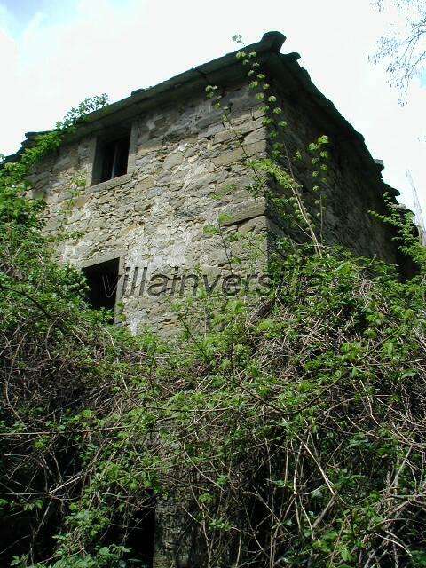 immagine annuncio 3 di 6