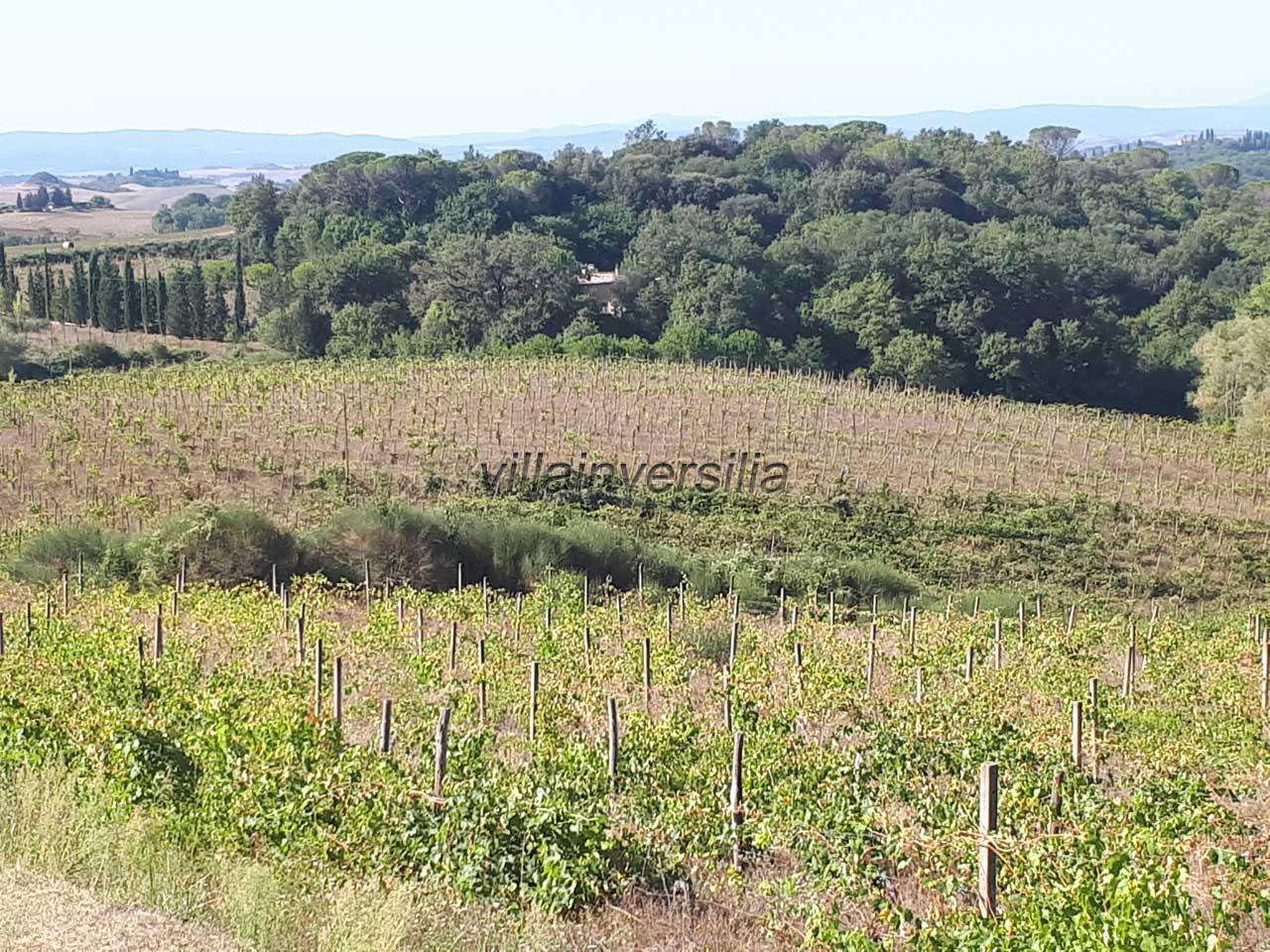 Terreno agricolo FWH+6G Castelnuovo Berardenga SI,, Castelnuovo Berardenga