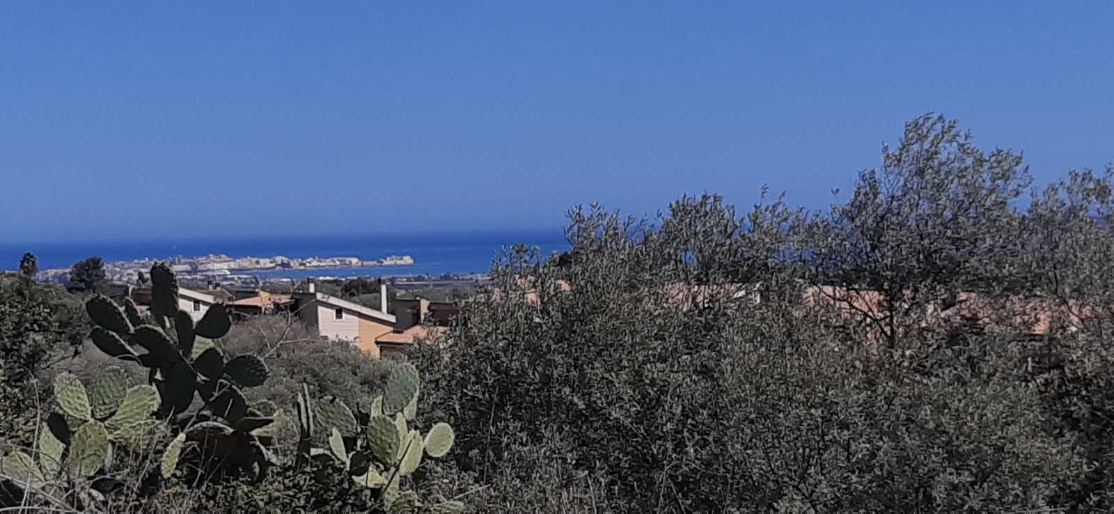 immagine annuncio 3 di 14