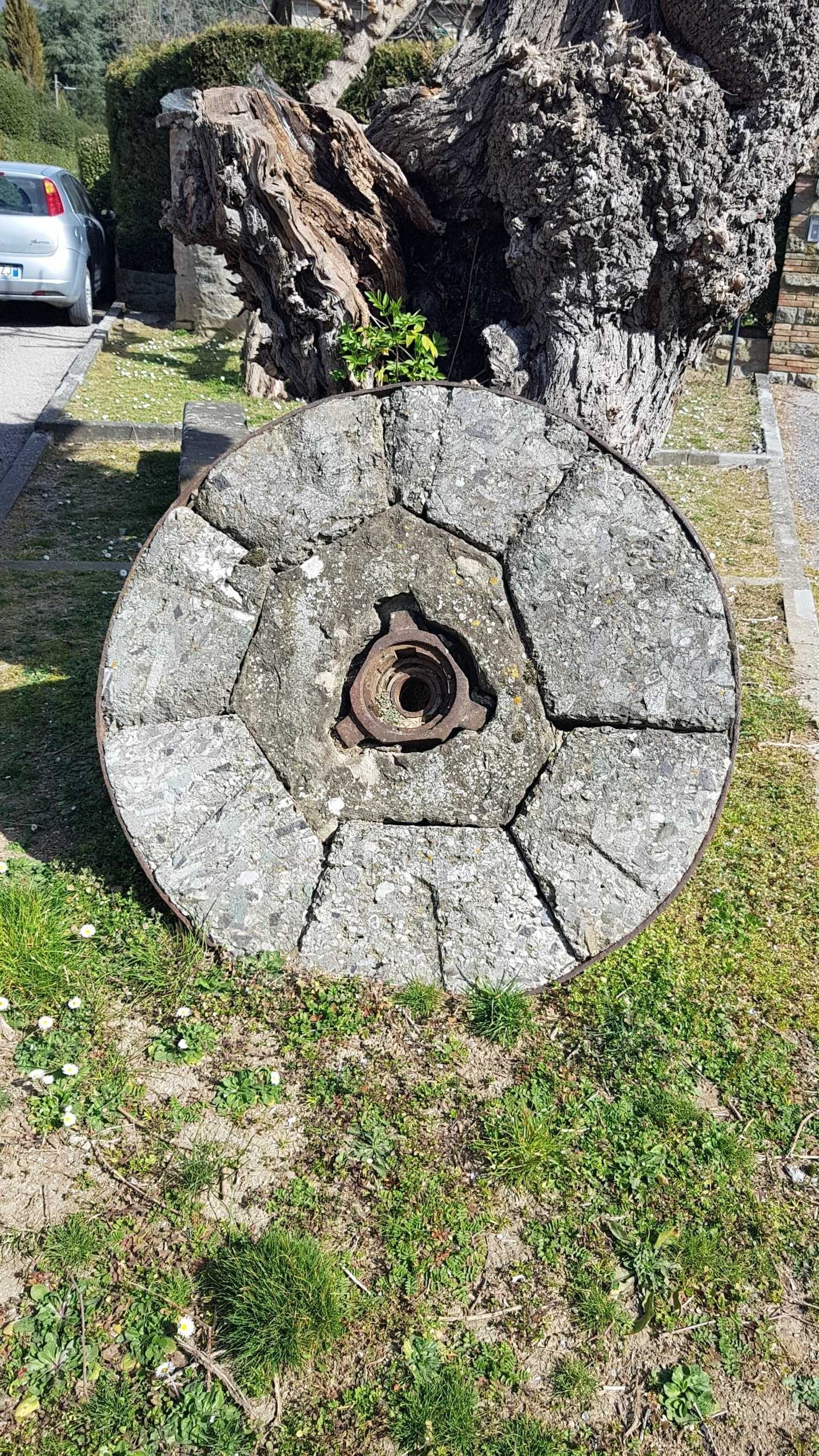  - foto 29