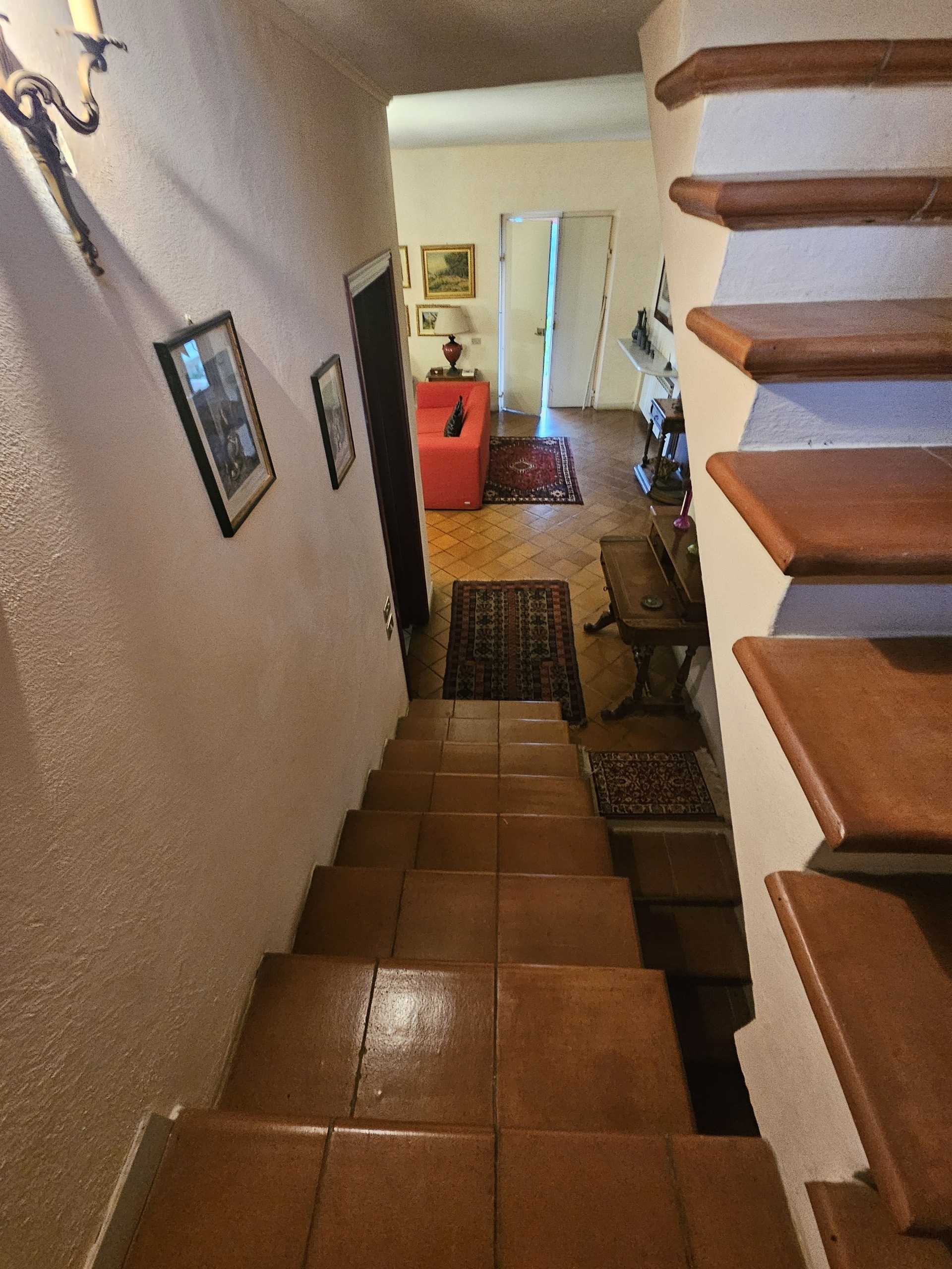  - foto 40