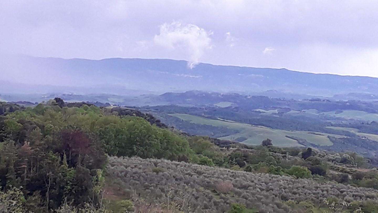  - foto 14