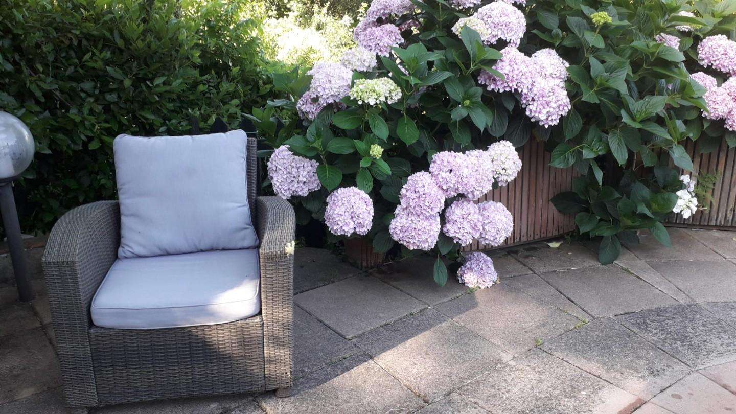  - foto 9