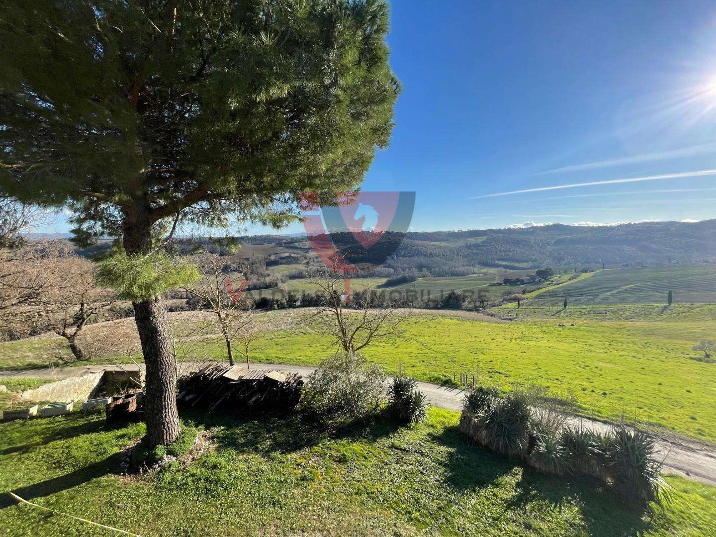  - foto 28