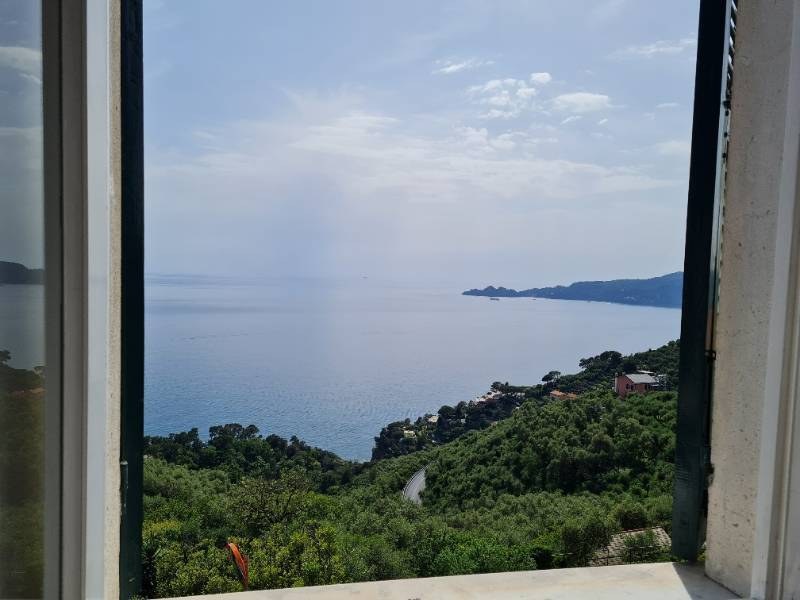  - foto 13