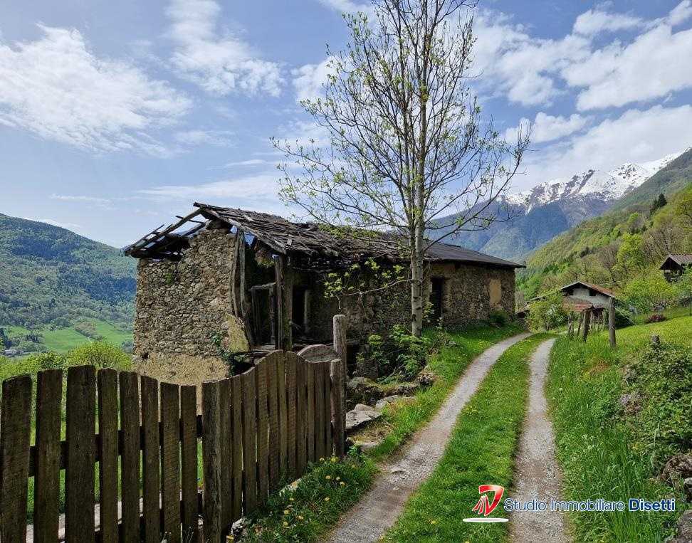 immagine annuncio 6 di 10