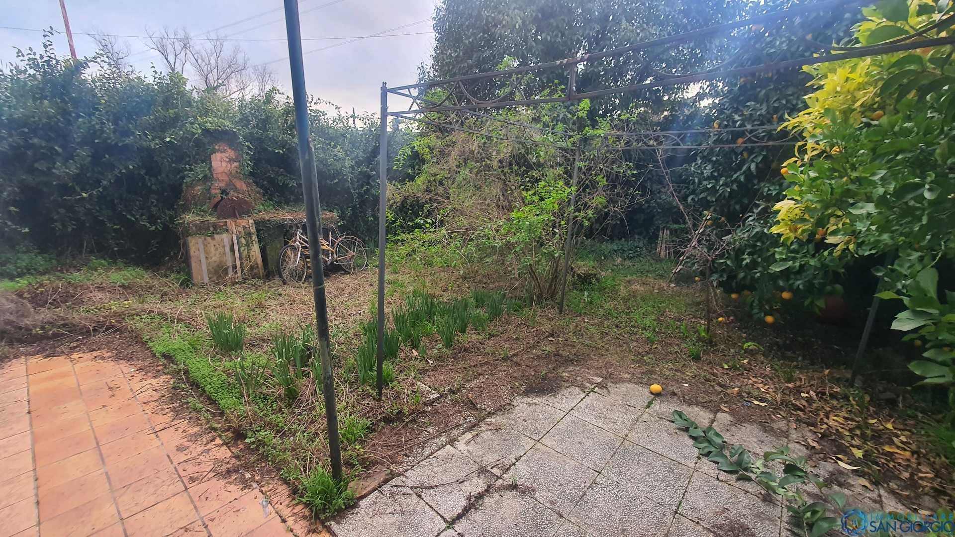 immagine annuncio 3 di 7