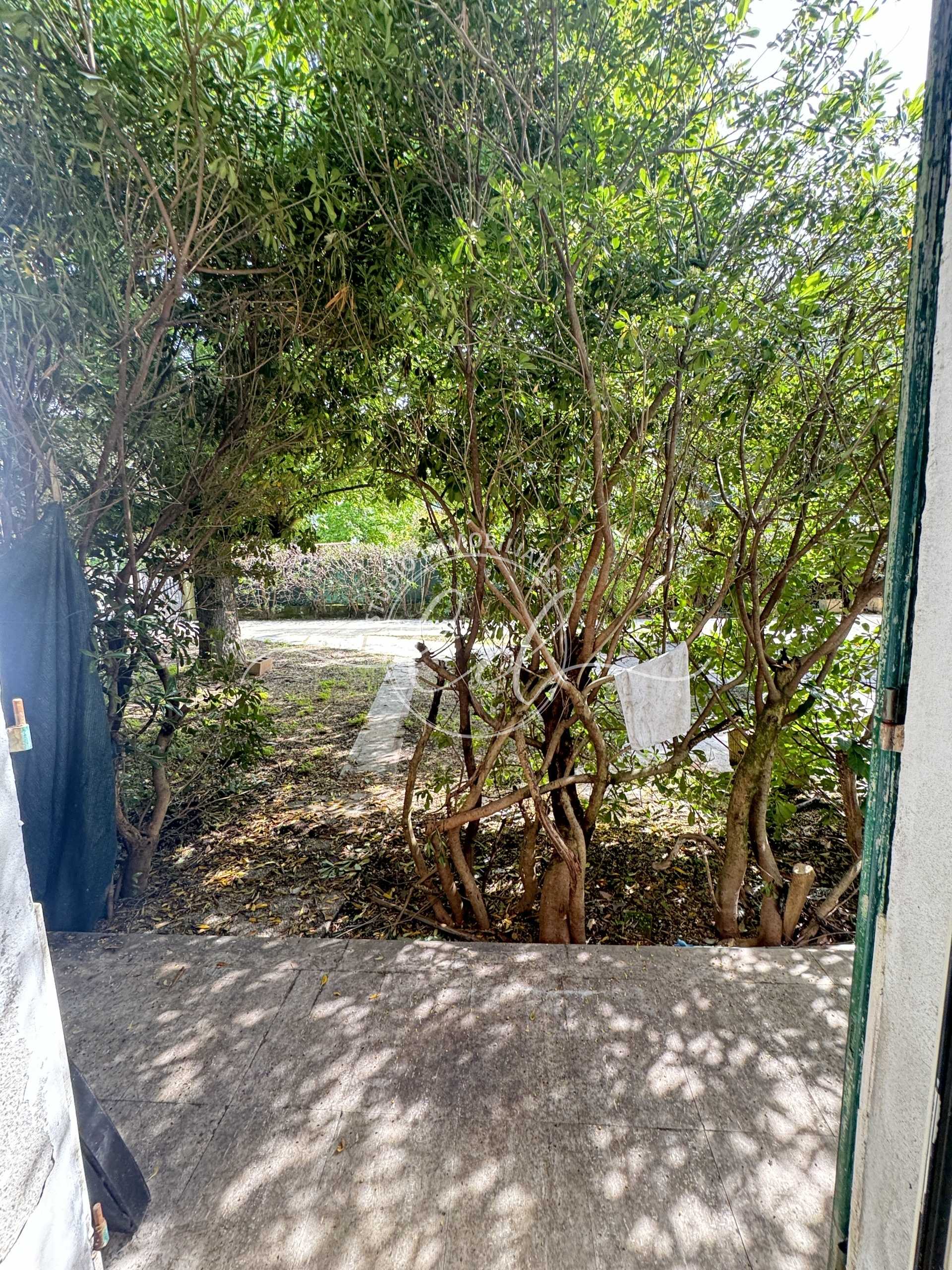  - foto 58