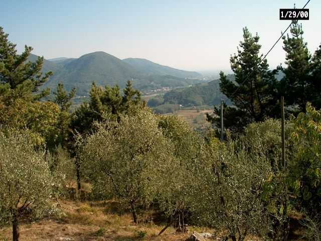  - foto 35