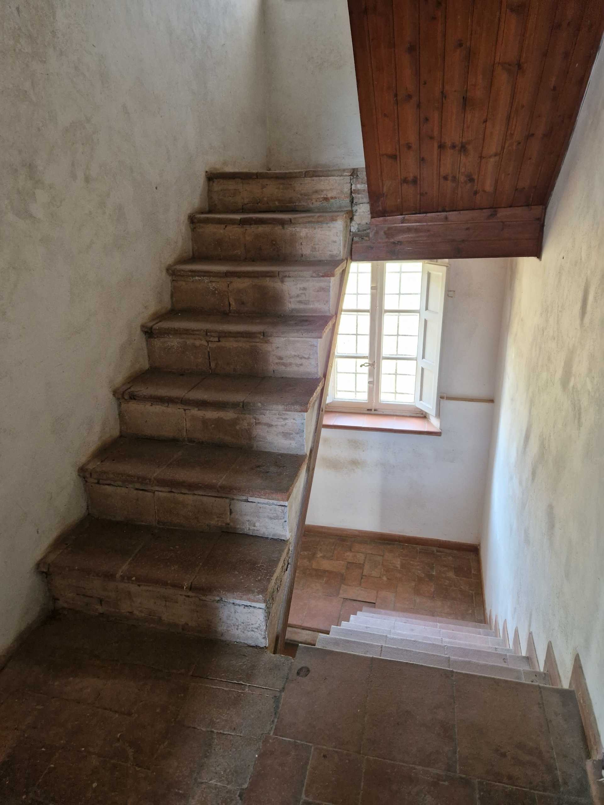  - foto 57