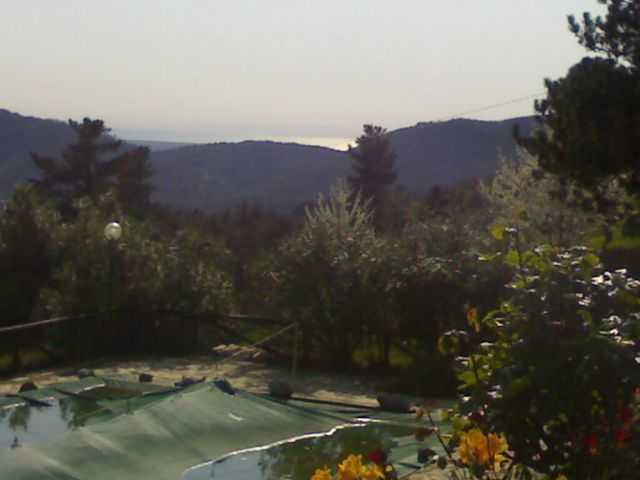  - foto 9