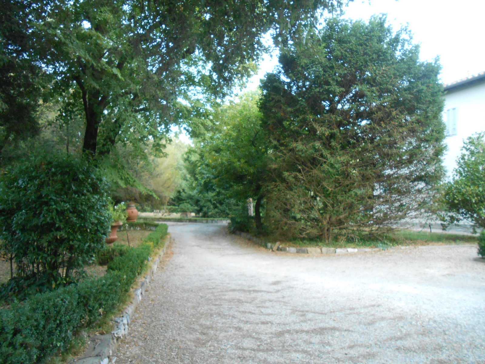  - foto 42