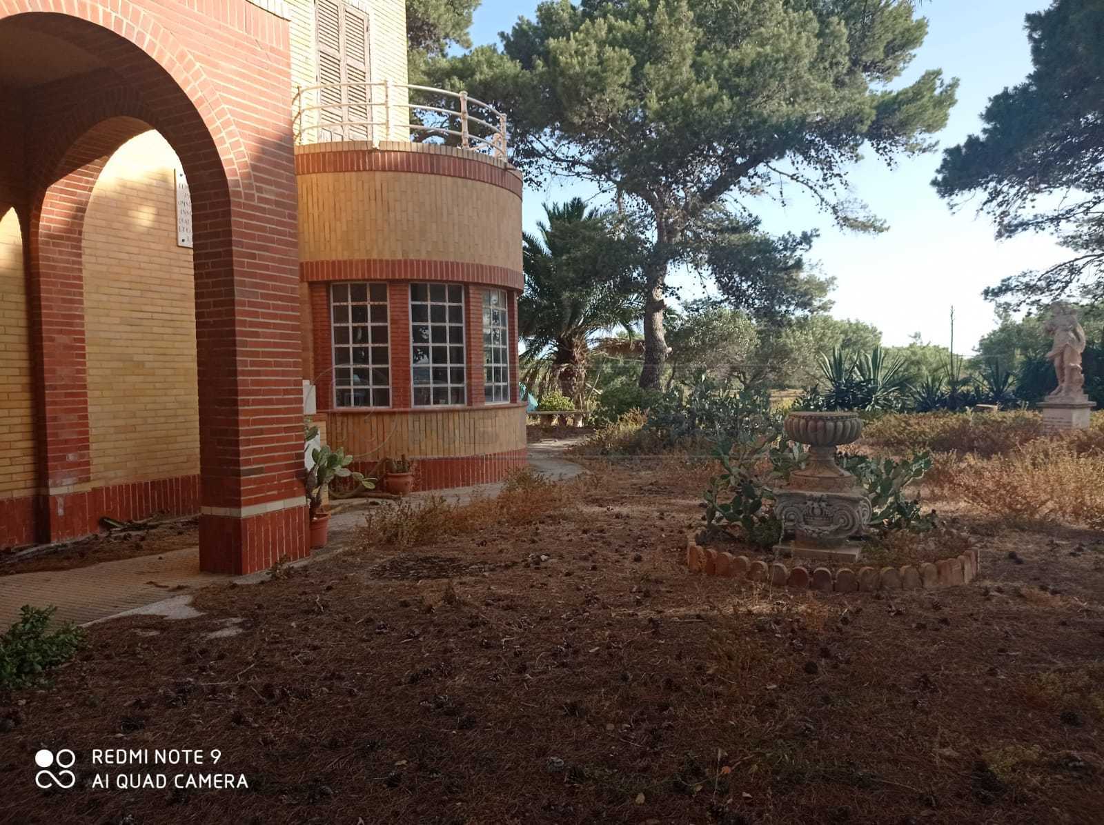  - foto 31