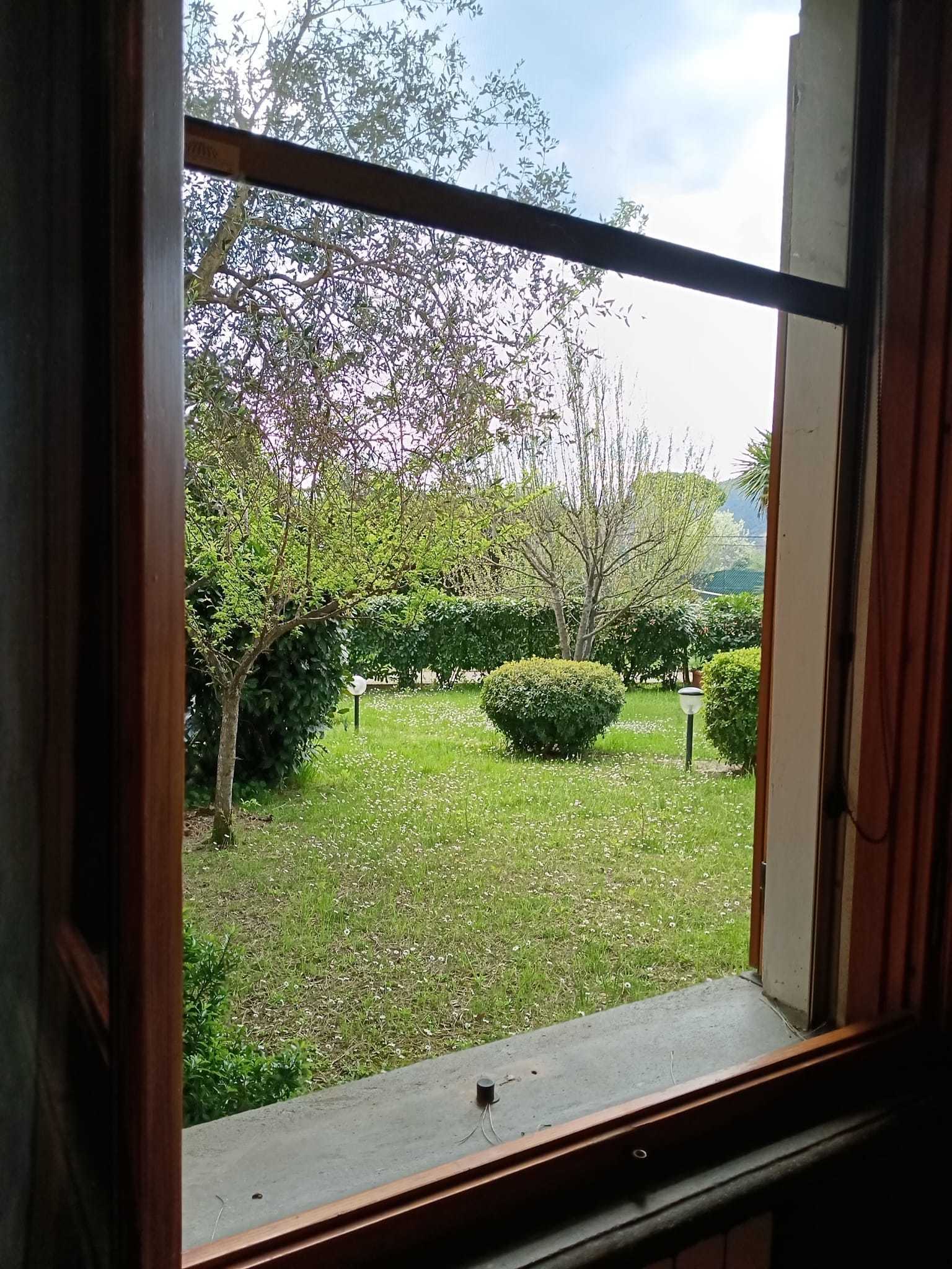  - foto 25
