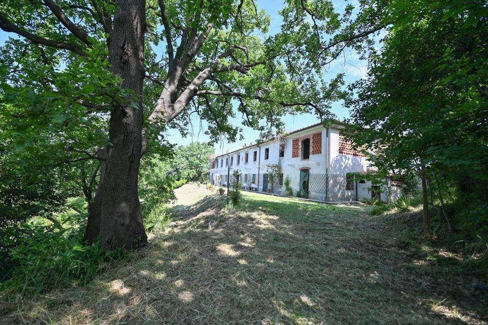  - foto 36