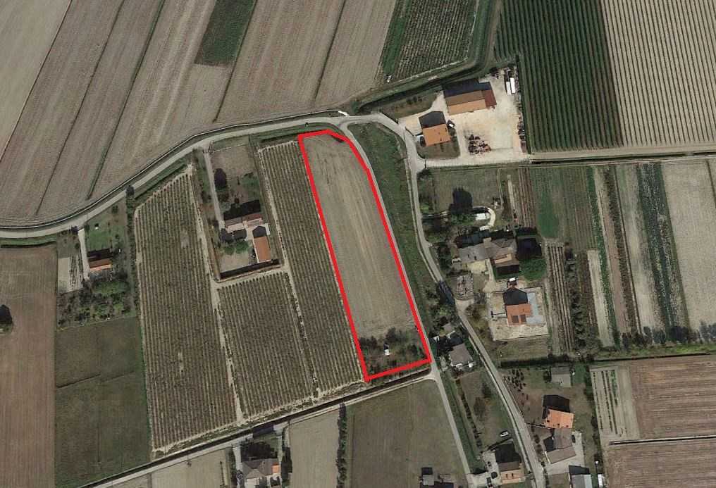 immagine annuncio 1 di 3