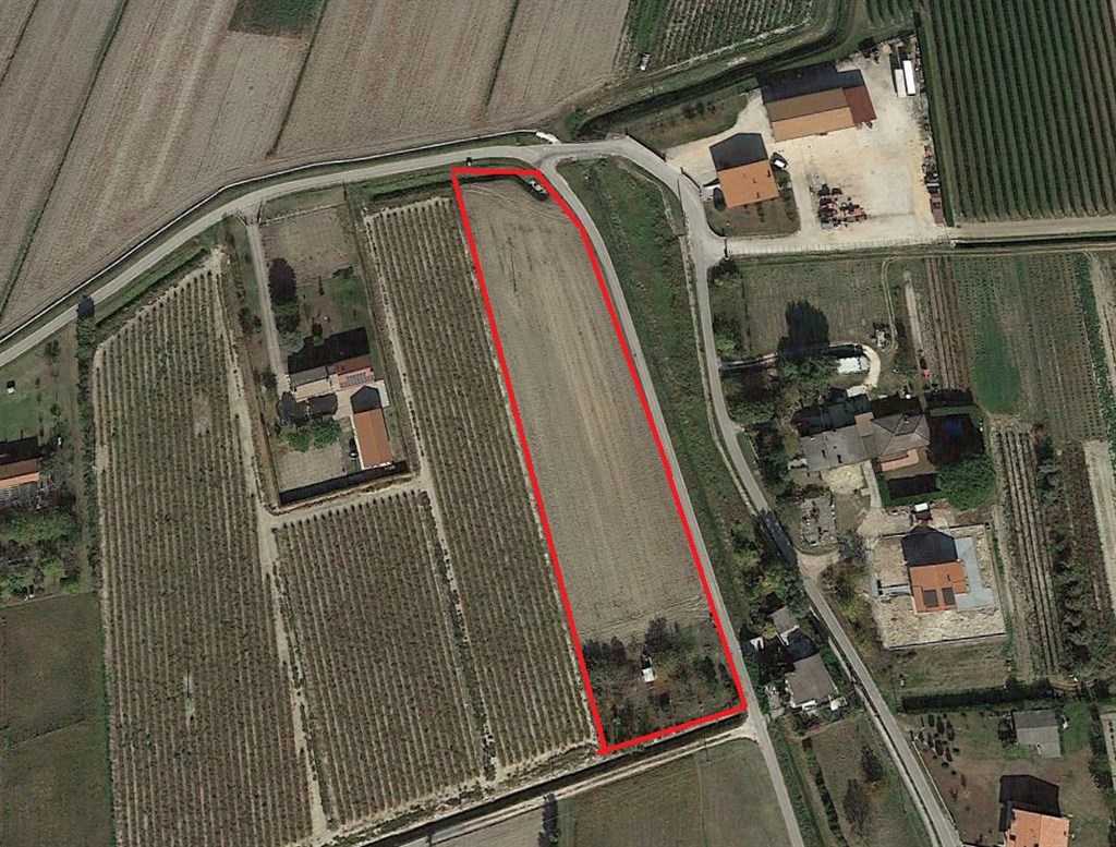 immagine annuncio 2 di 3