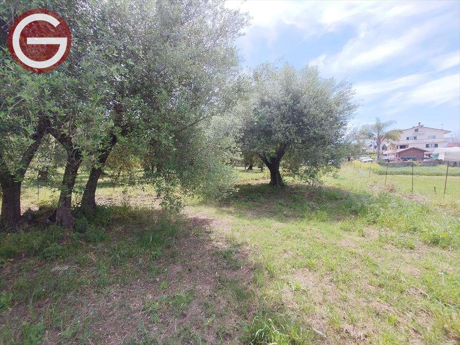 immagine annuncio 3 di 4