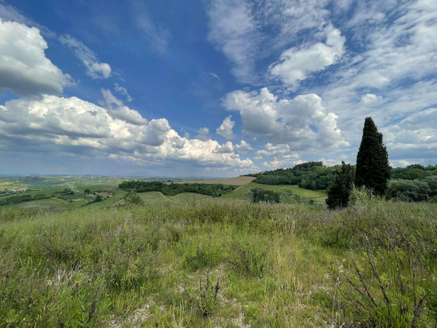  - foto 23