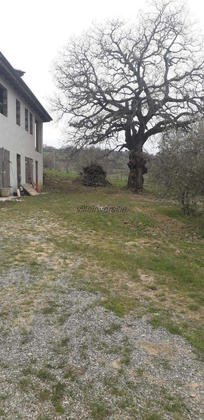  - foto 11
