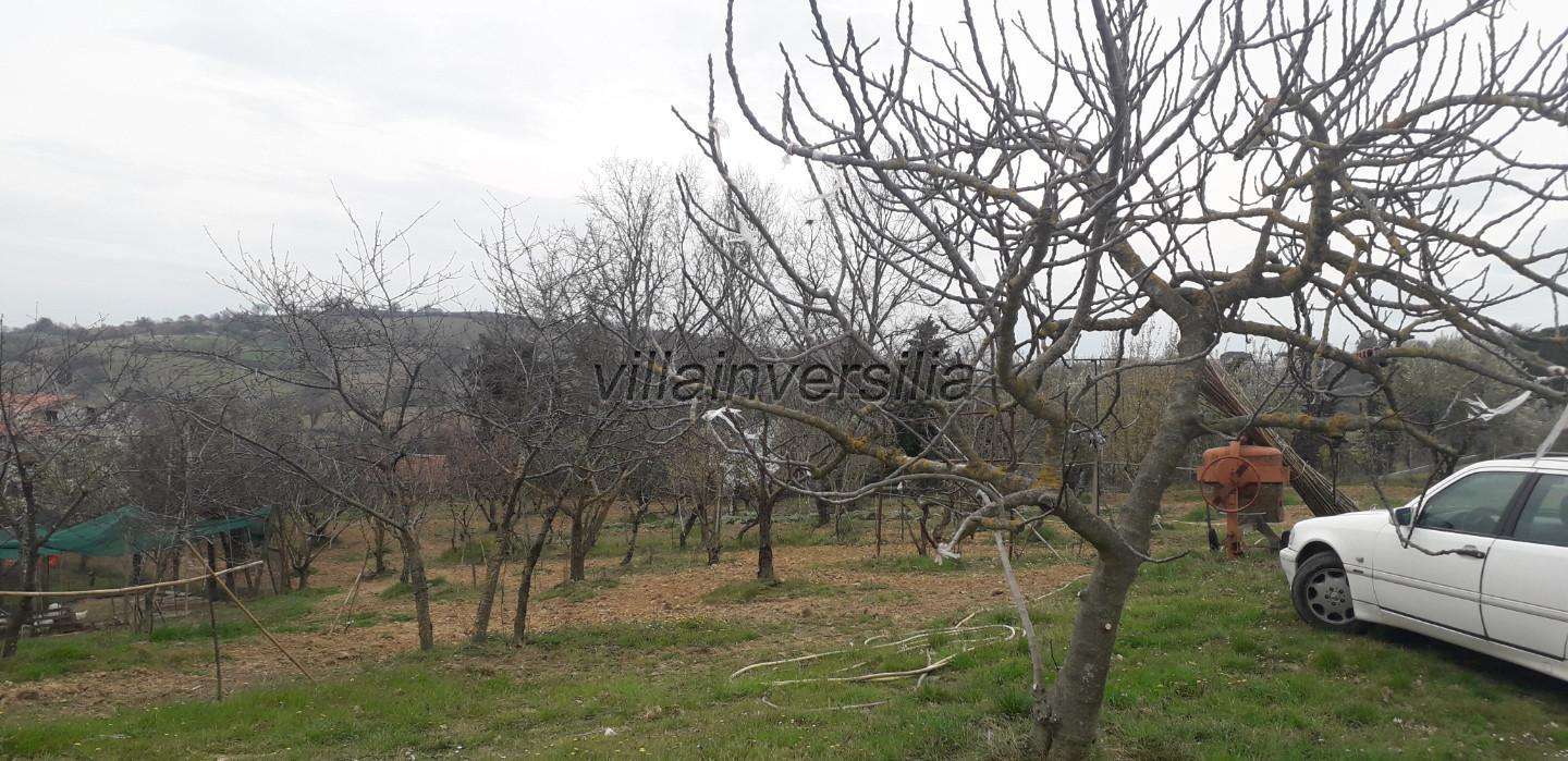  - foto 6