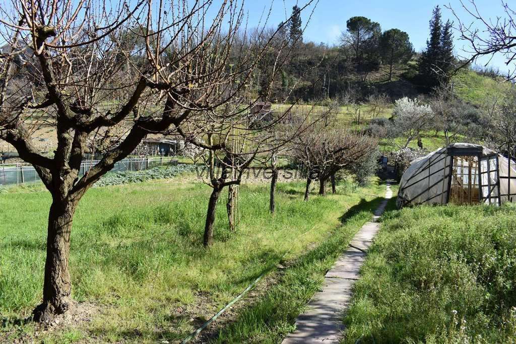 immagine annuncio 7 di 14