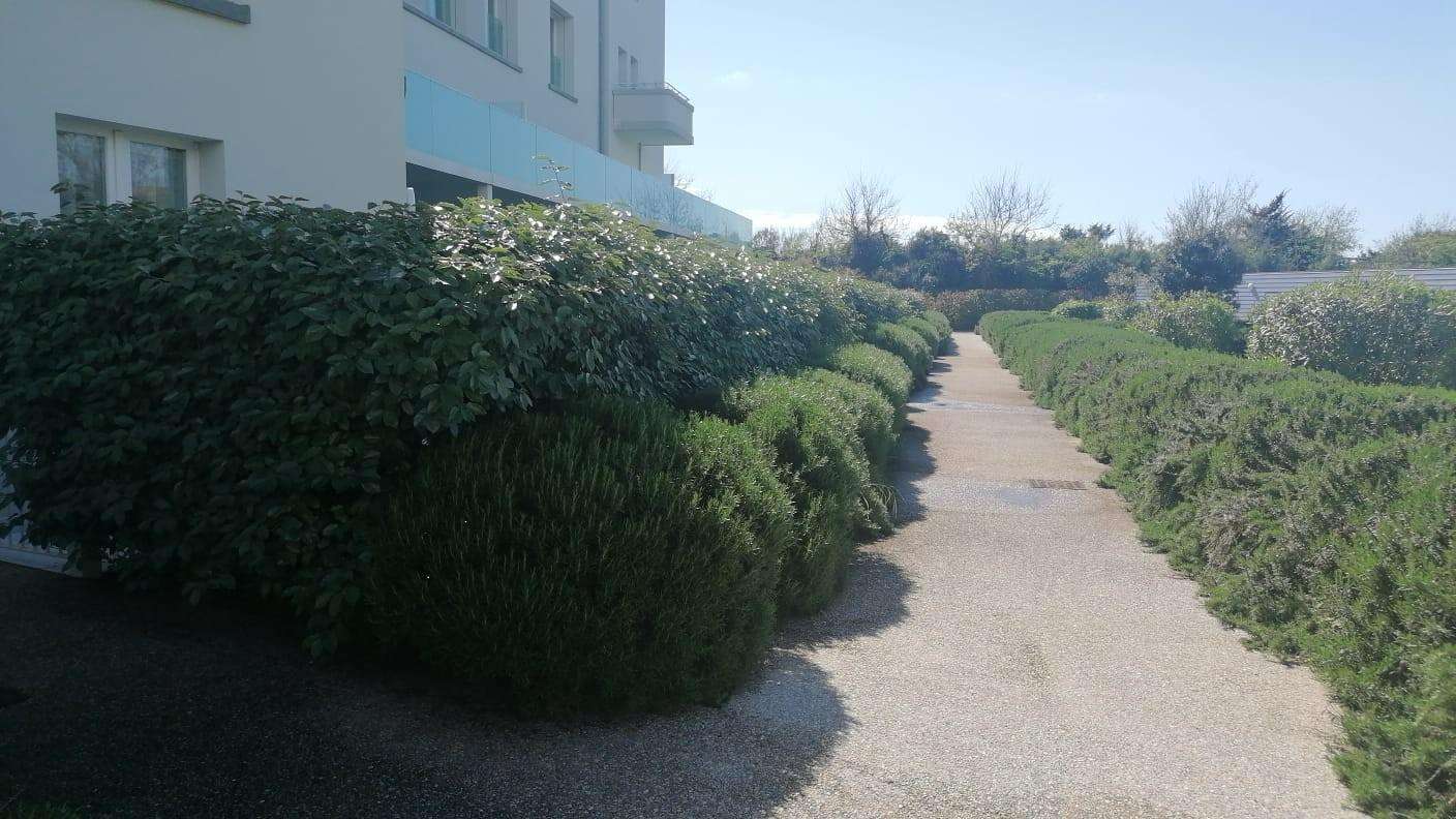 immagine annuncio 1 di 6