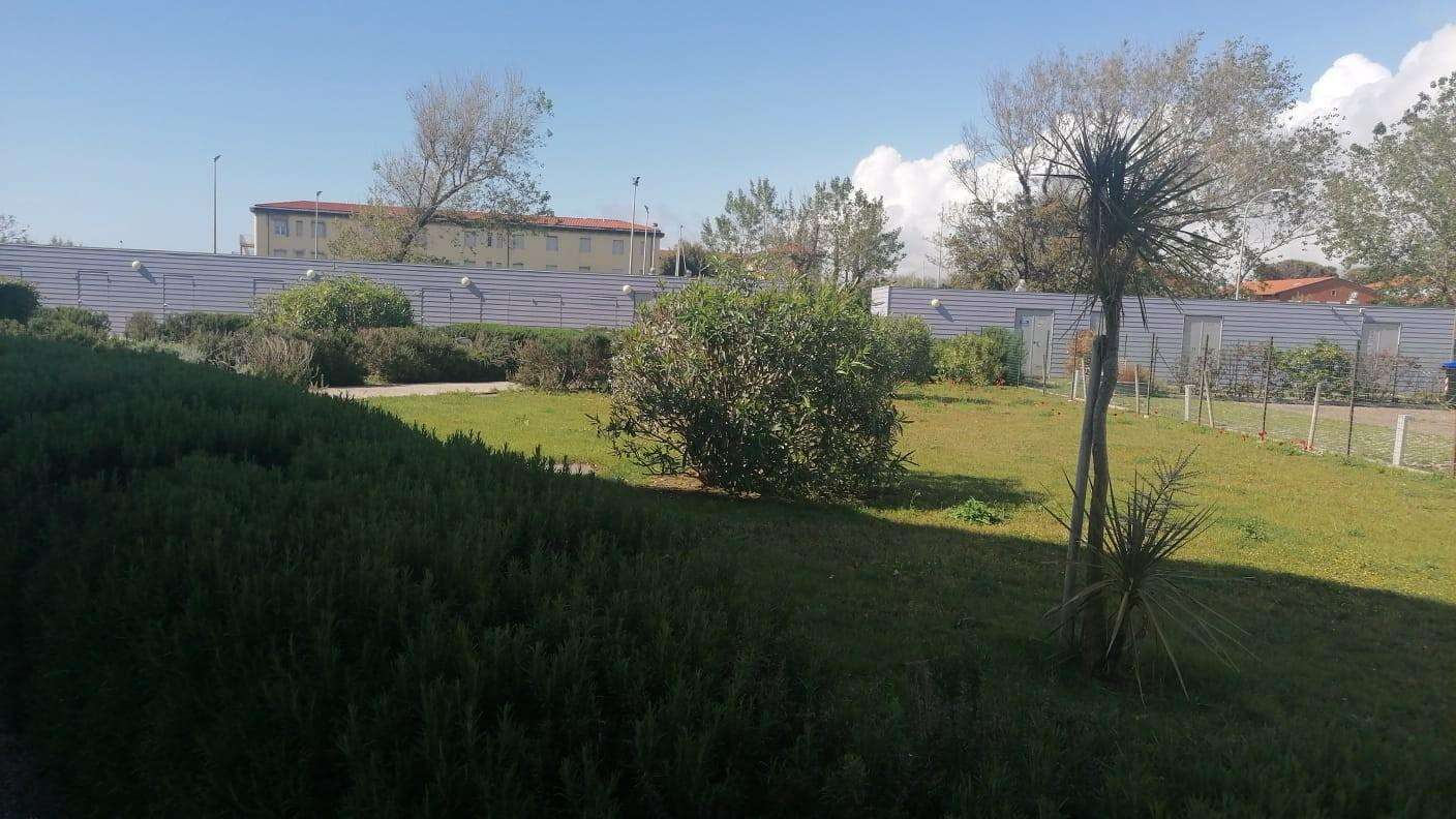 immagine annuncio 3 di 6