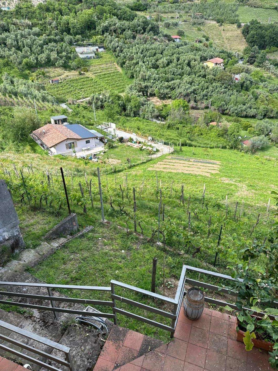  - foto 15