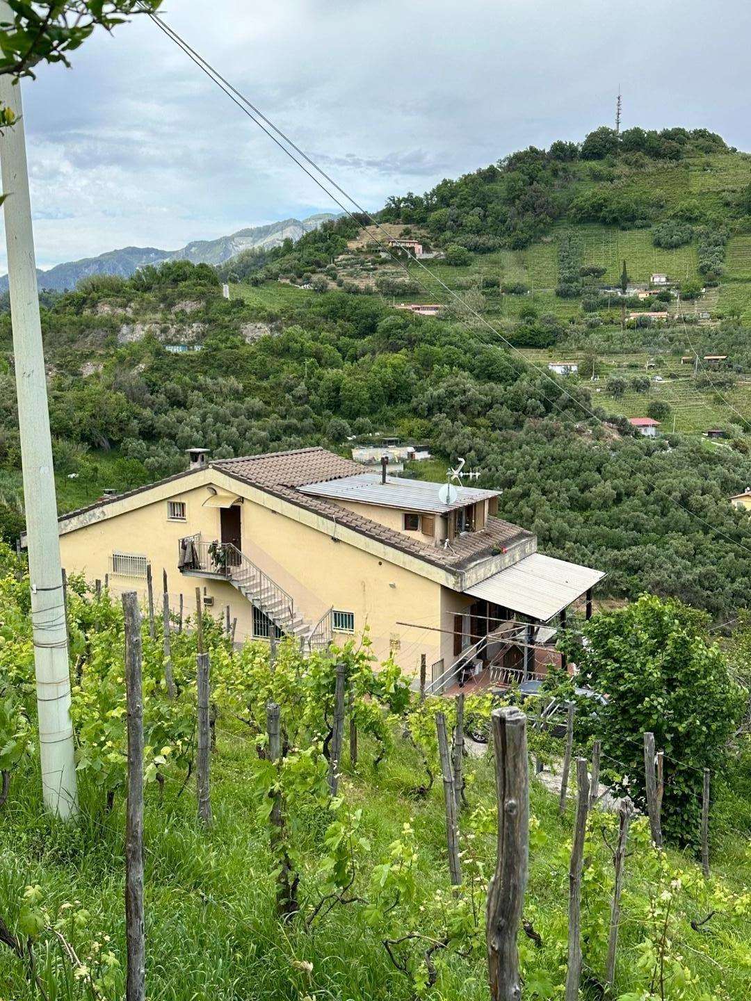  - foto 5