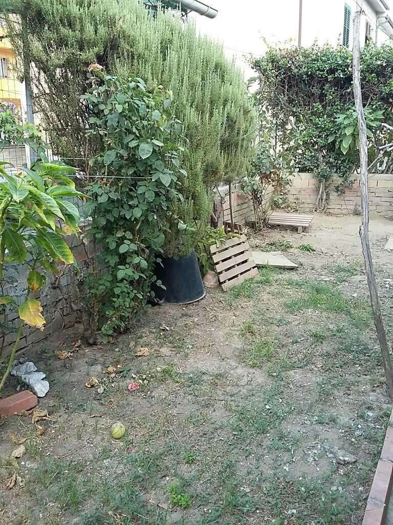 immagine annuncio 1 di 11