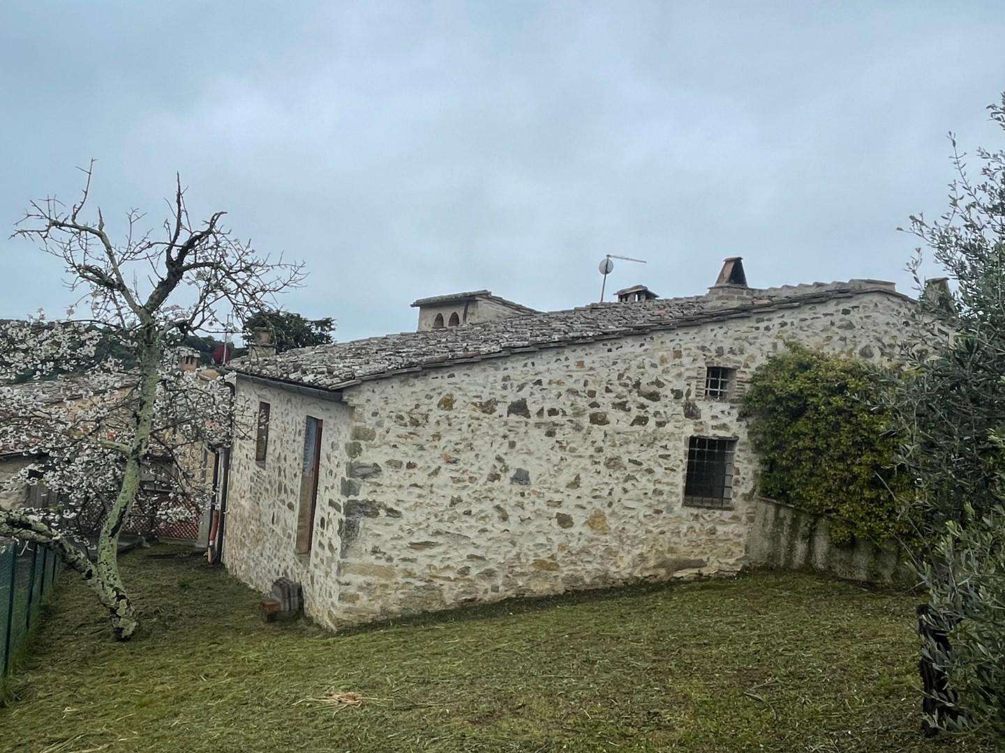 Azienda agricola Poggibonsi SI,, Poggibonsi