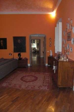  - foto 11