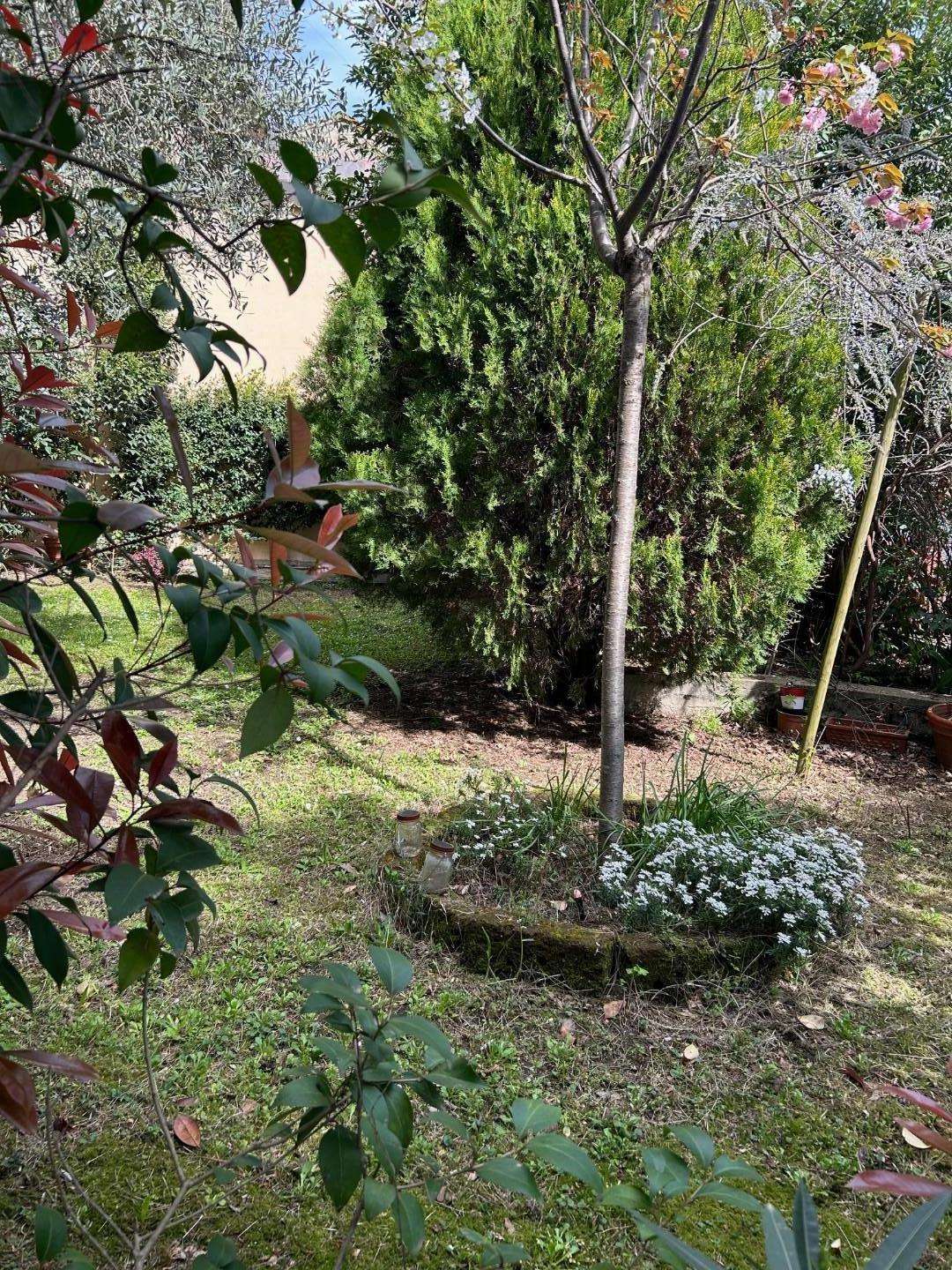  - foto 23
