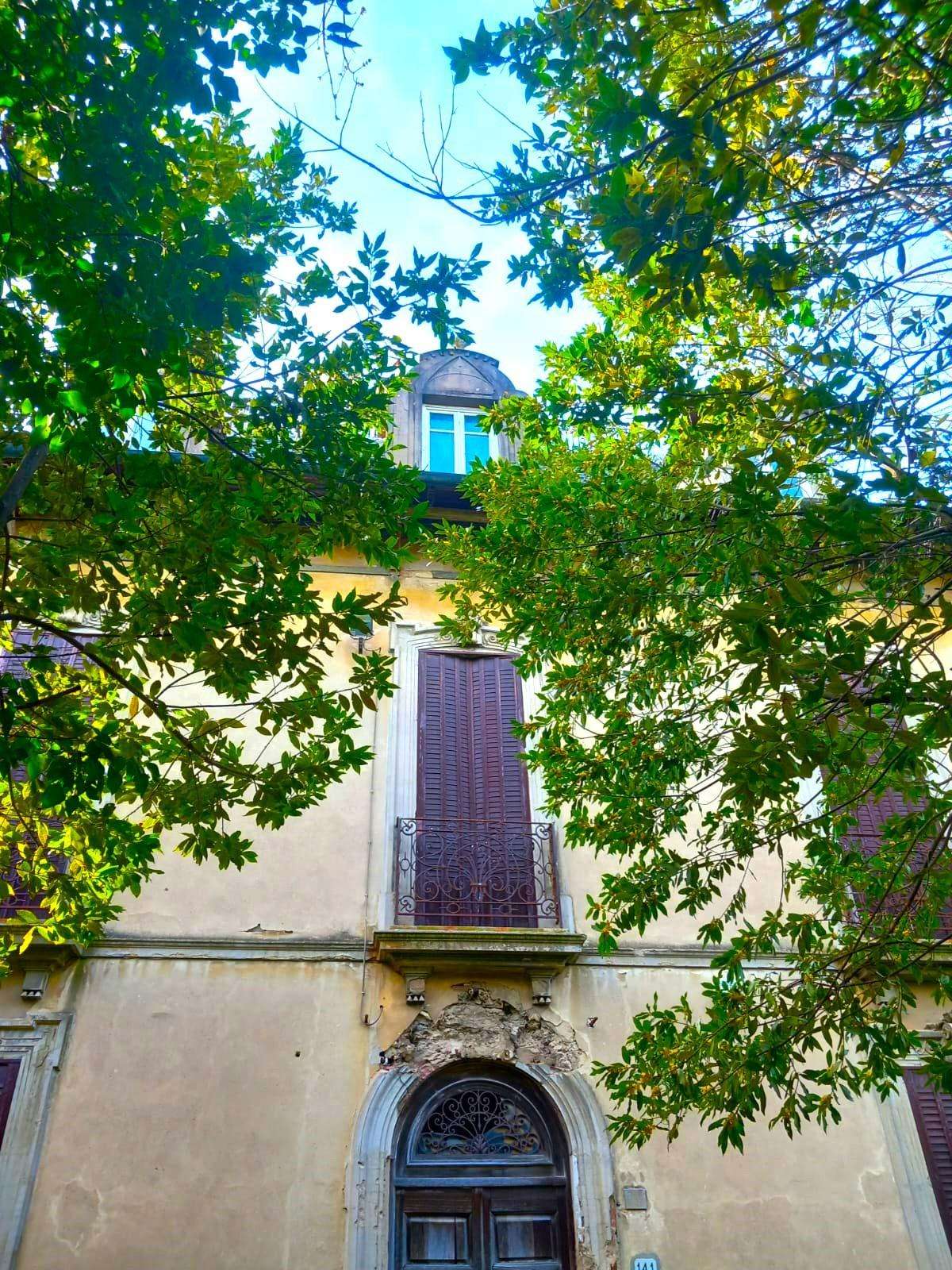  - foto 12